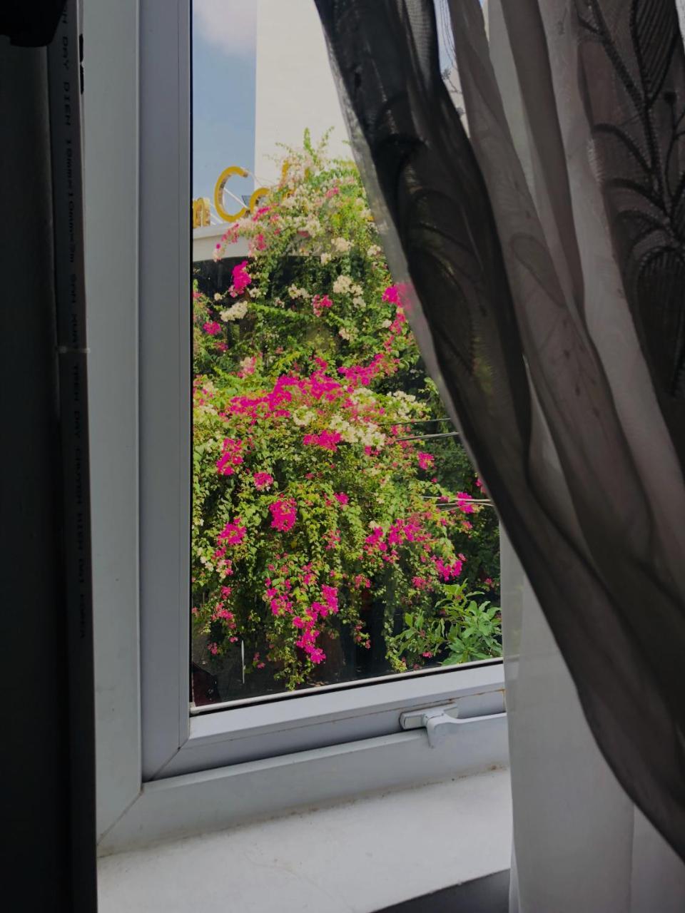 Tuong Van Homestay Da Nang Buitenkant foto